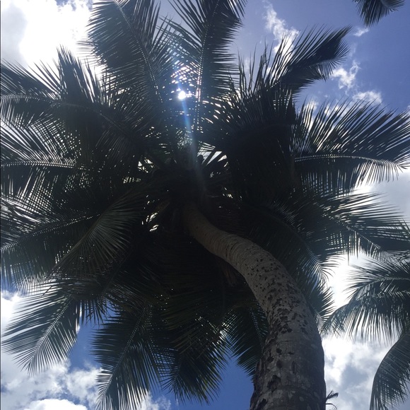 Meet your Posher, Sophia - Picture 1 of 1